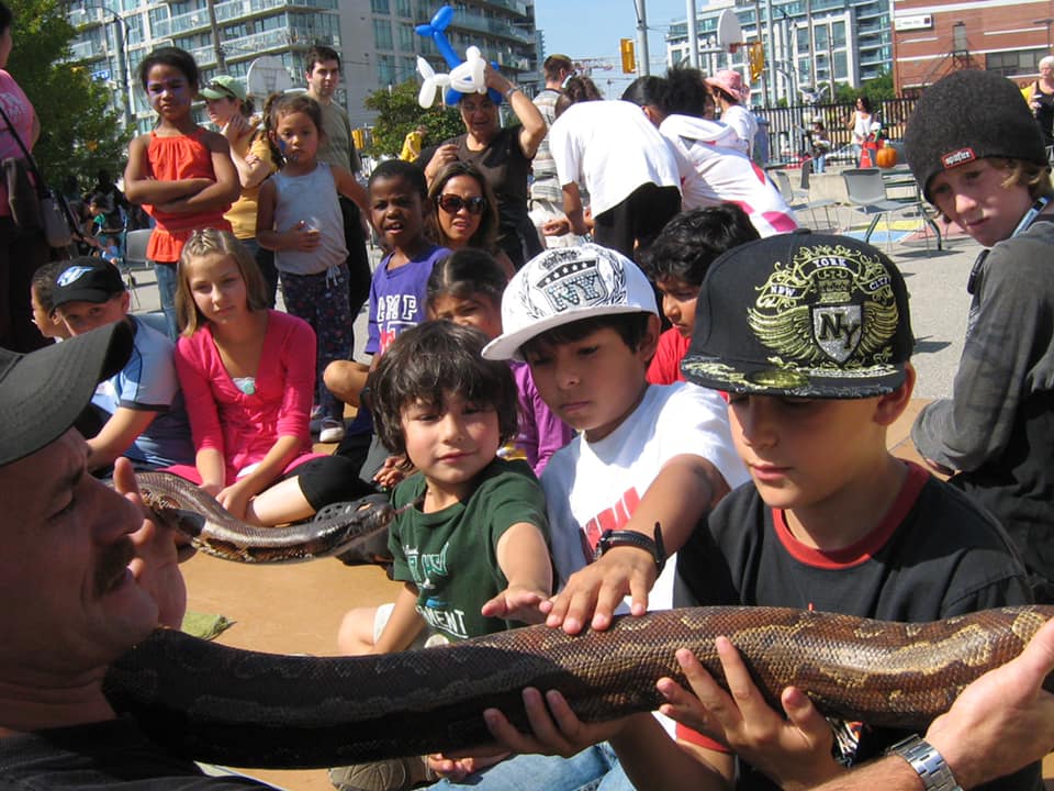 2008 Fall Fair