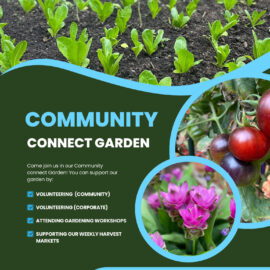Community Connect Garden Poster