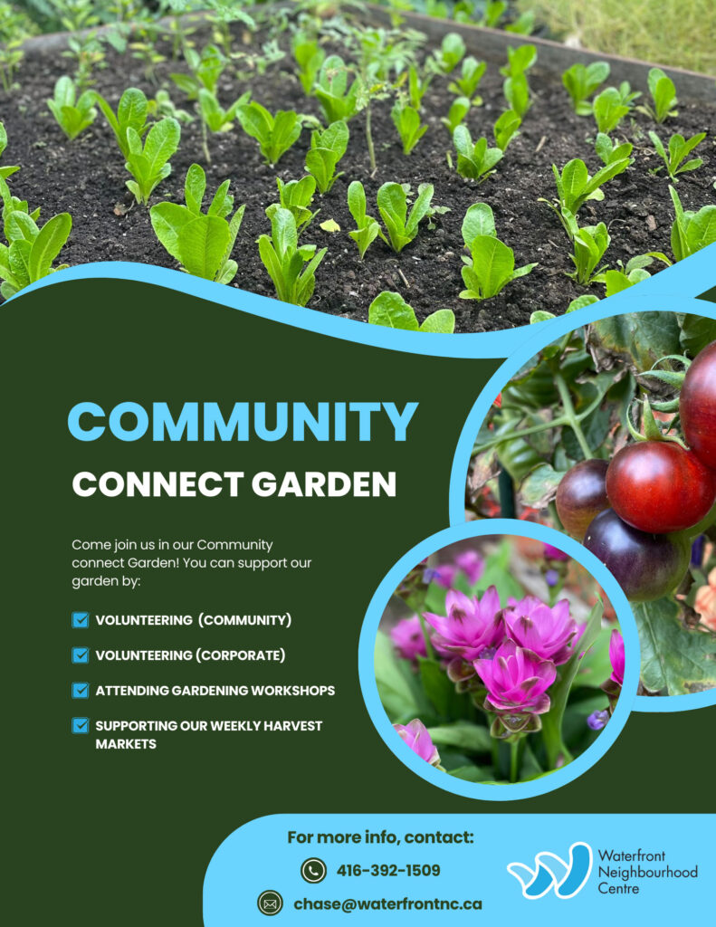 Community Connect Garden Poster