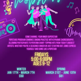 Popstars Poster